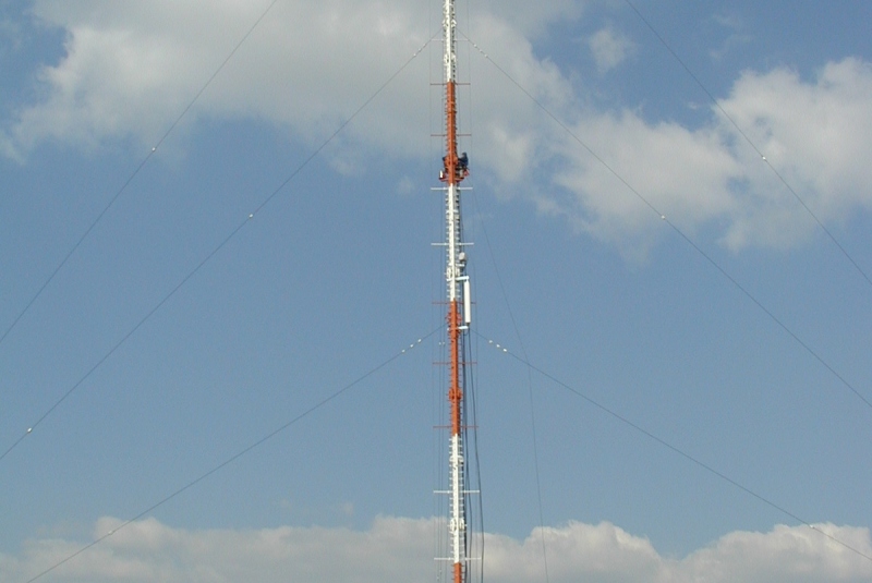 Stožiare